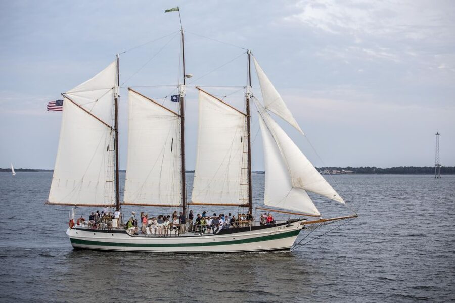Charleston: Schooner Sailing Harbor Tour & Dolphin Watch - Dolphin watch: what you can control, and what you can’t
