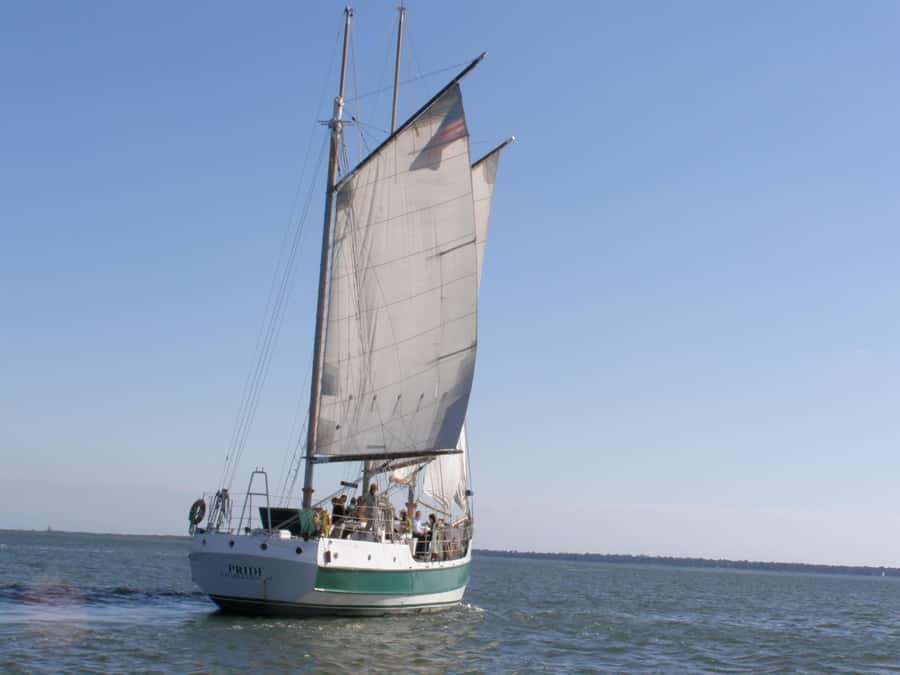 Charleston: Schooner Sailing Harbor Tour & Dolphin Watch - What a 1.5-hour schooner cruise really feels like