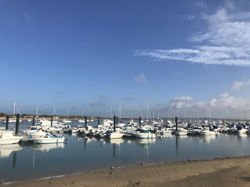 Chiclana de la Fra: Coast of Sancti Petri Catamaran Tour - Key highlights to look for