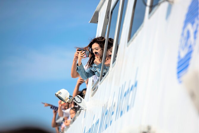 City Cruises Boston Whale Watching Cruise by High-Speed Boat - Who This Cruise Fits Best (and Who Should Skip It)