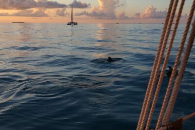 Classic Key West Schooner Sunset Sail with Full Open Bar - Your 2-Hour Route: From Key West Historic Seaport to a Perfect Sunset Position