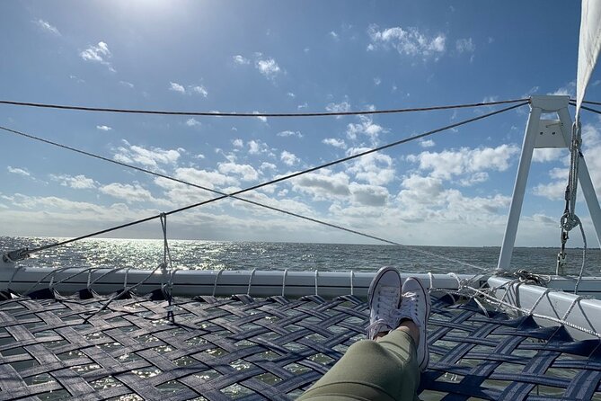 Copacetic Day Sail - Wildlife expectations: great odds, not a promise