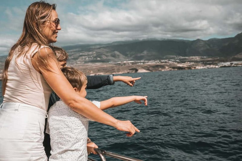 Costa Adeje: Catamaran Tour, Snorkelling, Snacks & Drinks - Underwater wildlife odds: dolphins and turtles without the chaos
