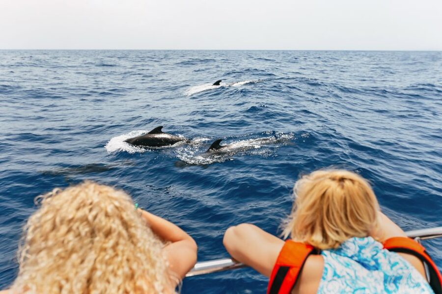 Costa Adeje: Whale Watching Catamaran Tour with Drinks - Key things that make this whale-watching trip worth your time