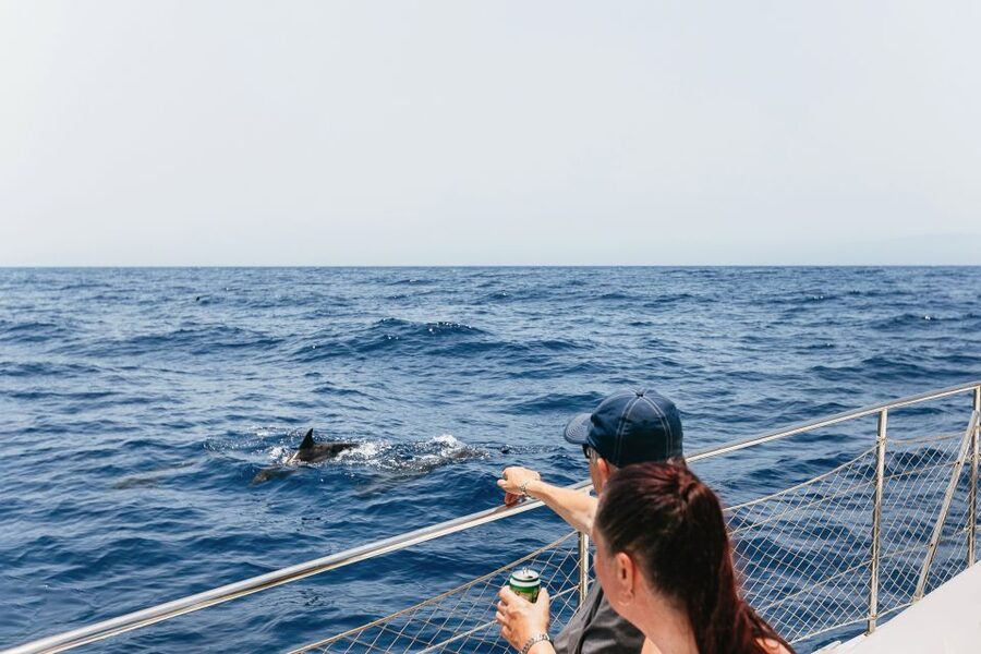 Costa Adeje: Whale Watching Catamaran Tour with Drinks - The Crew Approach: Respectful Watching, Quiet Boats, Real Rules