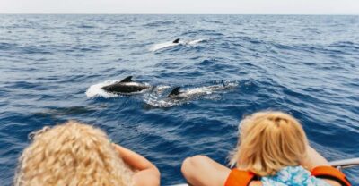 Costa Adeje: Whale Watching Catamaran Tour with Drinks - What You’ll See: Pilot Whales, Dolphins, and the Fun Bits Between