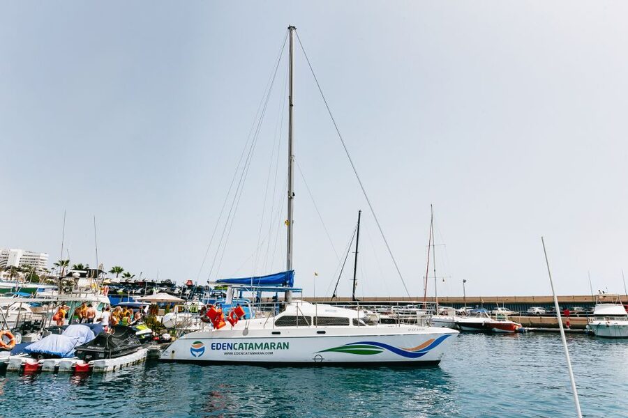 Costa Adeje: Whale Watching Catamaran Tour with Drinks - Drinks and On-Board Comfort: A Catamaran That Feels Easy