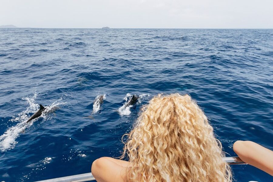 Costa Adeje: Whale Watching Catamaran Tour with Drinks - The 2-Hour vs 3-Hour Choice: Playa Espagueti Snorkeling Stop