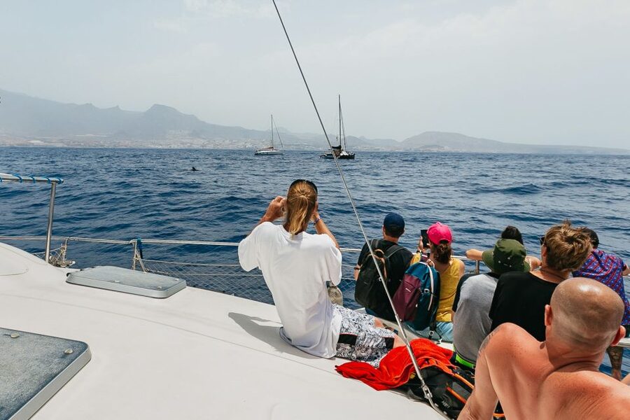 Costa Adeje: Whale Watching Catamaran Tour with Drinks - Sea Conditions and Motion Sickness: Plan Like a Pro