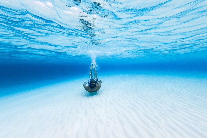 Cozumel Catamaran Snorkeling Tour & lunch® - Meeting at Royal Village and what the 11:00 start means