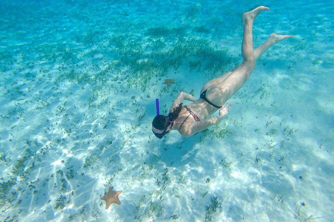 Cozumel Catamaran Snorkeling Tour & lunch® - Playa Mia Grand Beach Park lunch: food, open bar, and amenities