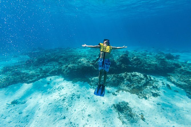 Cozumel Catamaran Snorkeling Tour & lunch® - Snorkeling at Colombia and Palancar reefs: the main event