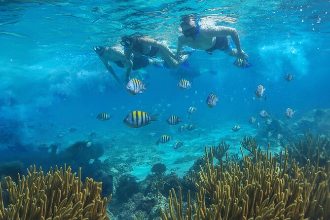 Cozumel Luxury Sailing & Snorkeling with Lunch and Open Bar Onboard - Who This Tour Fits Best (and Who Should Skip It)