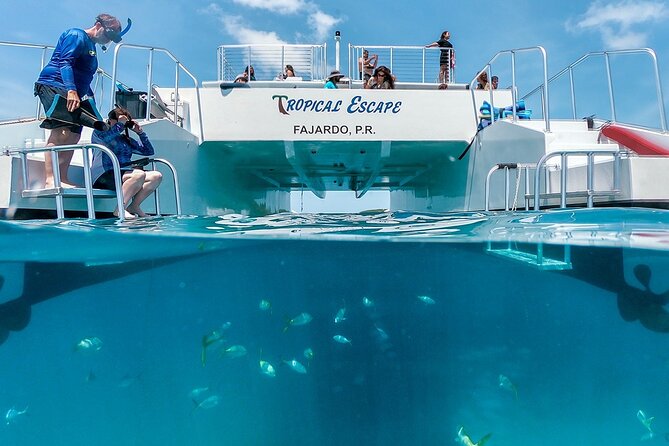 Culebra Snorkeling Tour by Catamaran from Fajardo - The buffet lunch and drinks that keep the day from feeling rushed