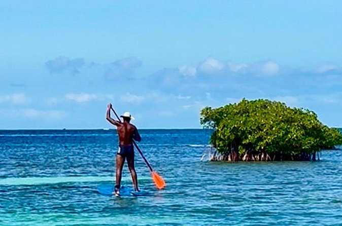 Day Lagoon 100% Sailing stops Snorkelling Paddle - La Biche Islets Stopover: Aperitif, Juice, and Packed-Lunch Time