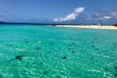 Day Sail without transportation - Cayo Icacos: 4 hours that actually let you snorkel (and breathe)