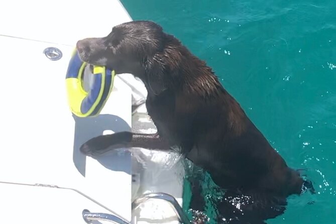 Day trip on a sailing catamaran in Sardinia - How you’ll actually spend the day (beyond sailing)