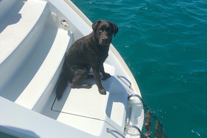 Day trip on a sailing catamaran in Sardinia - What makes the onboard vibe work (shade, space, and real hosting)