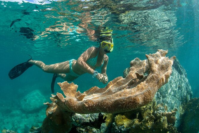 Deluxe Half-Day Snorkel Sail on Lady Grace Luxury Catamaran - FAQ
