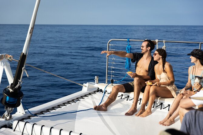 Deluxe Sail & Snorkel to the Captain Cook Monument - Stop 1: Captain Cook Monument reef and the wildlife you’re aiming for