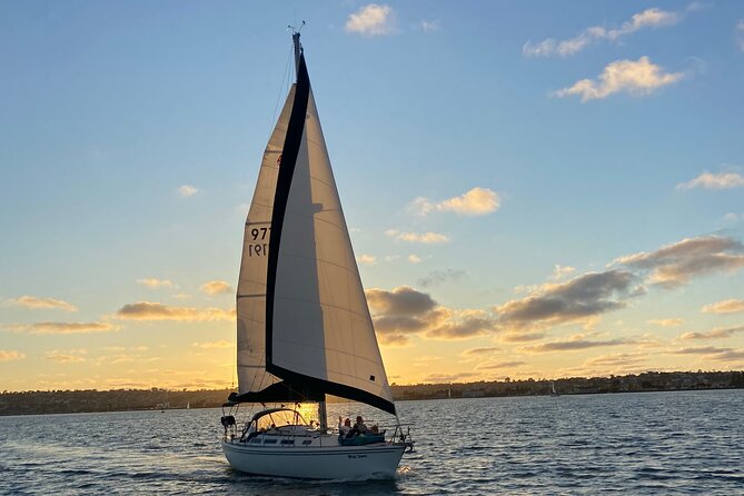 Deluxe Sunset & Day Sail Small Group - Marine Life Spotting: Dolphins and Sea Lions, Up Close