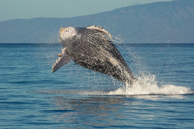 Deluxe Whale Watching Sail on Maui - Views that keep working even if whales are scarce