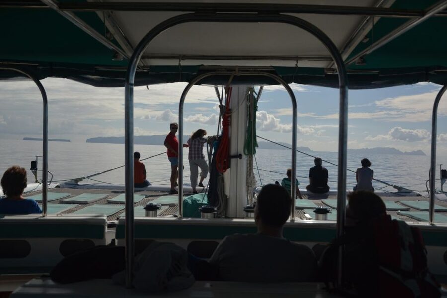 Desertas Islands Full-Day Catamaran Trip from Funchal - A Catamaran Day in the Desertas: Real Nature Reserve, Not a Photo Stop