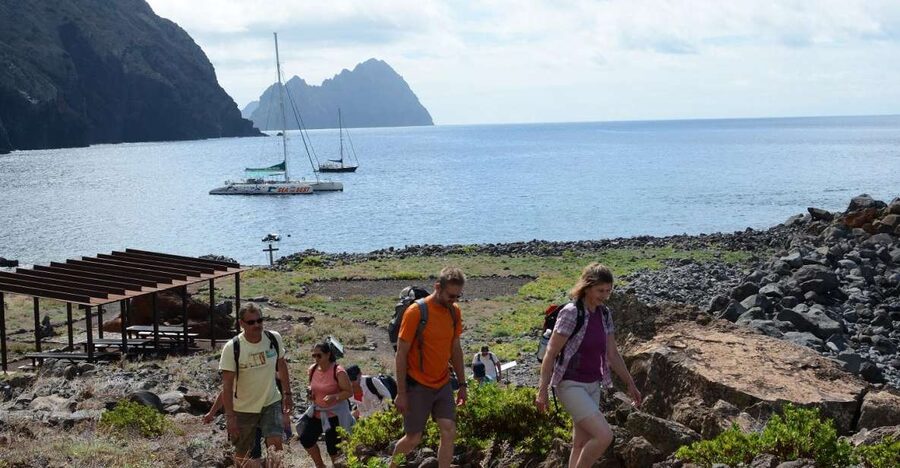 Desertas Islands Full-Day Catamaran Trip from Funchal - Sailing Out: Where Whale and Dolphin Sightings Can Happen