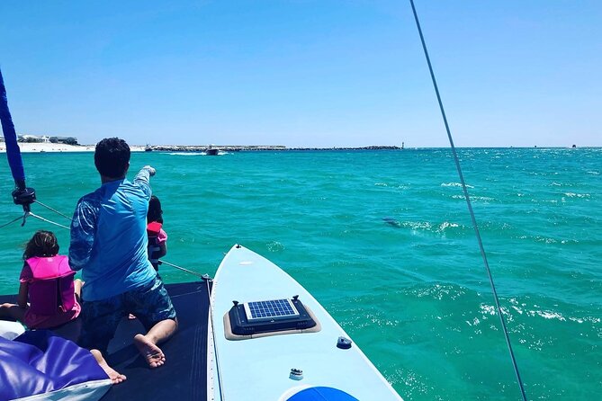 Destin Private Catamaran and Snorkeling Tour 3 or 4hrs - Meeting up at the marina and returning where you started
