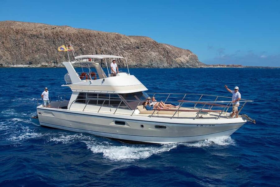 Discover whales in Tenerife: exclusive yacht tour with swim and lunch - Key points I’d plan around
