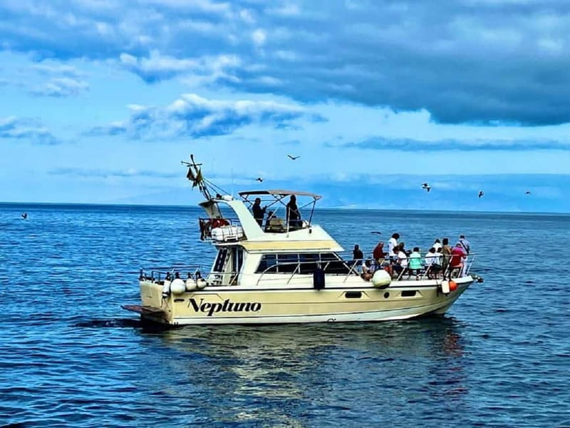Discover whales in Tenerife: exclusive yacht tour with swim and lunch - Sailing Out of Los Cristianos with a 20-Person Yacht