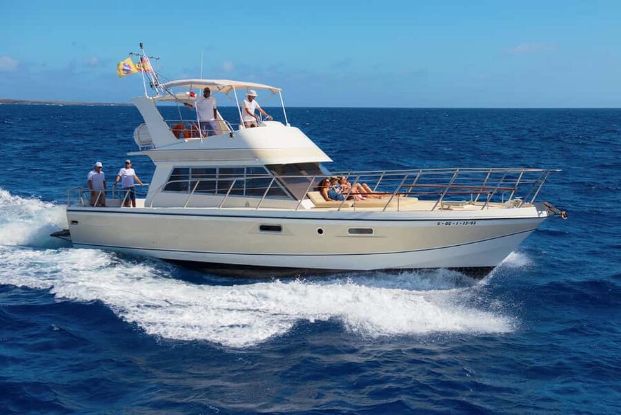 Discover whales in Tenerife: exclusive yacht tour with swim and lunch - The Whale Watching Portion: Pilot Whales, Dolphins, and More