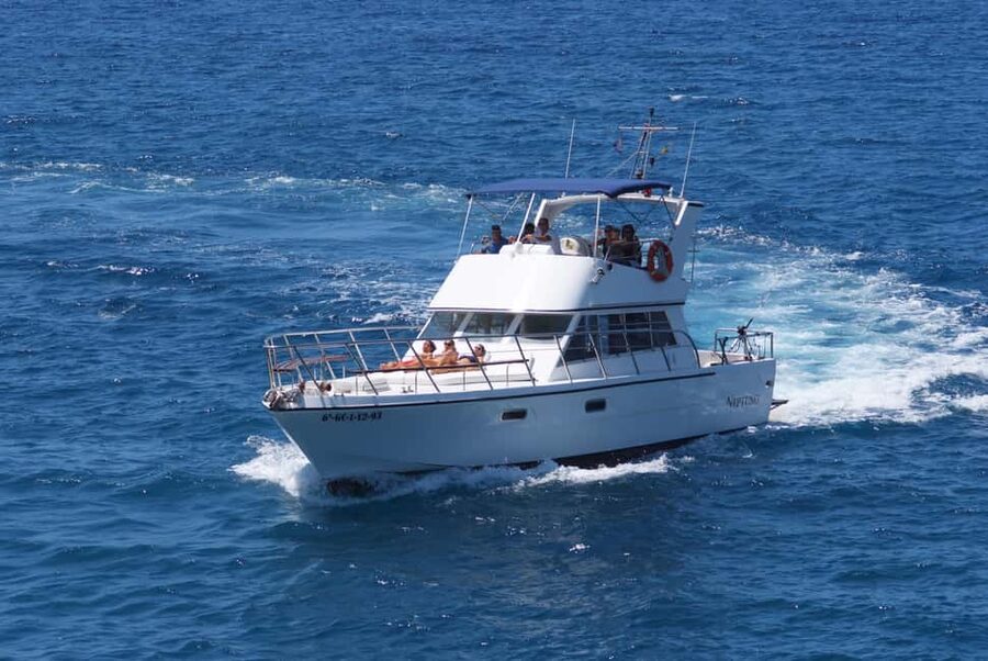 Discover whales in Tenerife: exclusive yacht tour with swim and lunch - Comfort That Doesn’t Feel Like an Afterthought