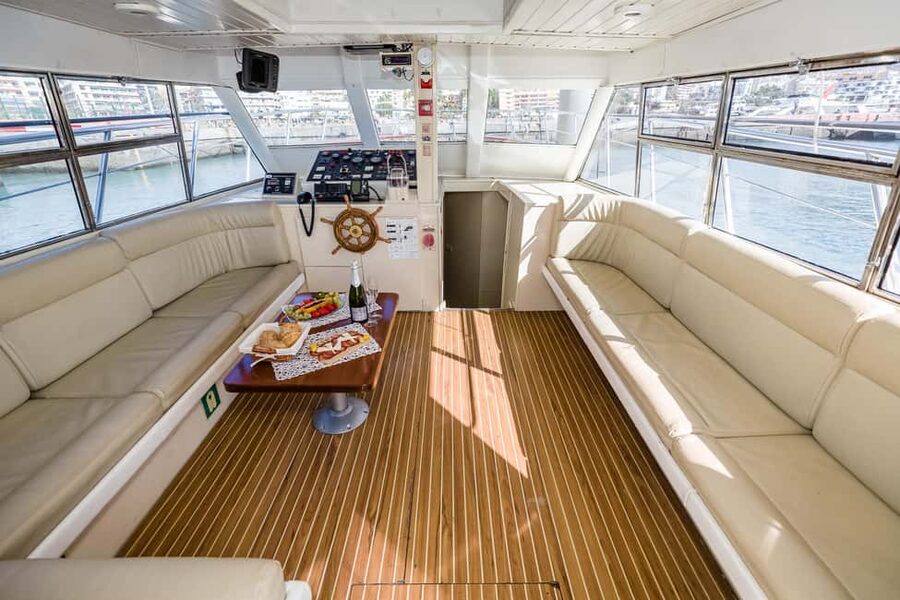 Discover whales in Tenerife: exclusive yacht tour with swim and lunch - Views From the Water: Teide, Coastline Bays, and the “Slow Down” Effect