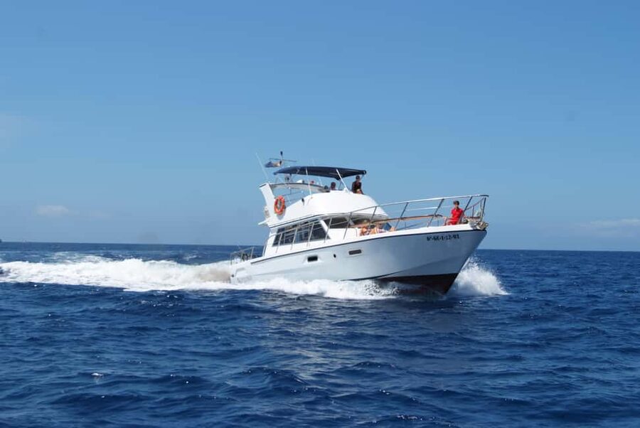 Discover whales in Tenerife: exclusive yacht tour with swim and lunch - Price and Value: Is $68 Fair for What You Get?