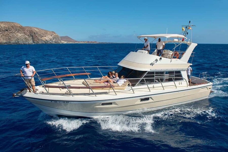 Discover whales in Tenerife: exclusive yacht tour with swim and lunch - Responsible Whale Watching, Blue Flag Style