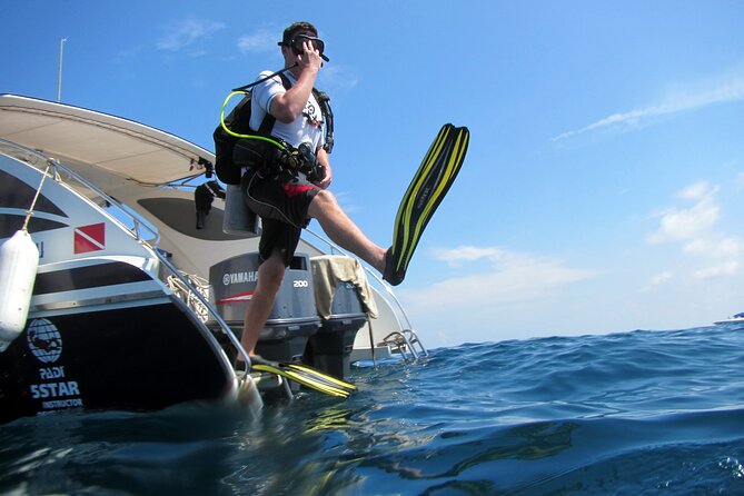 Diving Tour for Certified Divers: Sail Rock or Koh Tao - The smart logistics: pickup, timing, and where you start