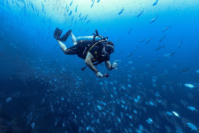 Diving Tour for Certified Divers: Sail Rock or Koh Tao - Choosing Koh Tao vs Sail Rock: match the site to your mood