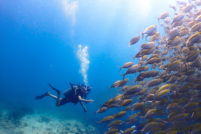 Diving Tour for Certified Divers: Sail Rock or Koh Tao - What’s included (and what you’ll likely pay for separately)
