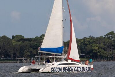 Dolphin Adventure Sail in Cocoa Beach - The Wildlife Moment: How You’ll Spot Dolphins and Manatees