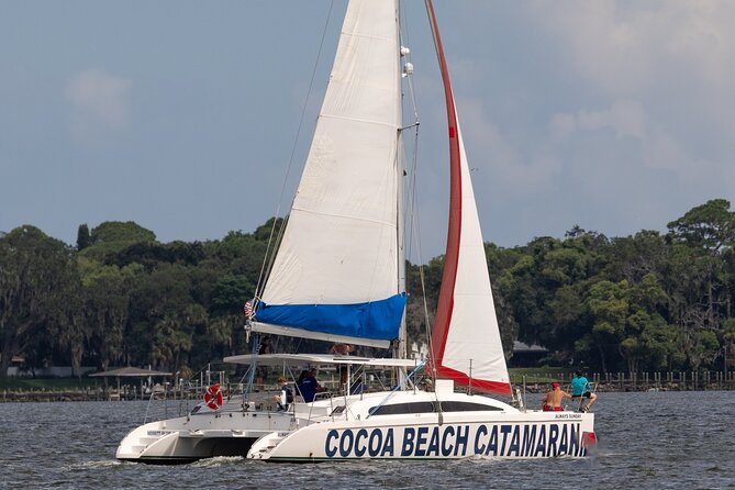 Dolphin Adventure Sail in Cocoa Beach - The Wildlife Moment: How You’ll Spot Dolphins and Manatees