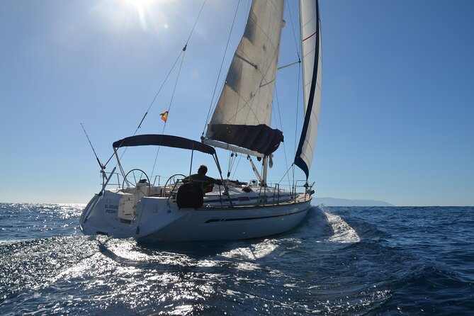 Dolphin and Whale Sailing Tour in Los Gigantes - Key highlights worth planning for