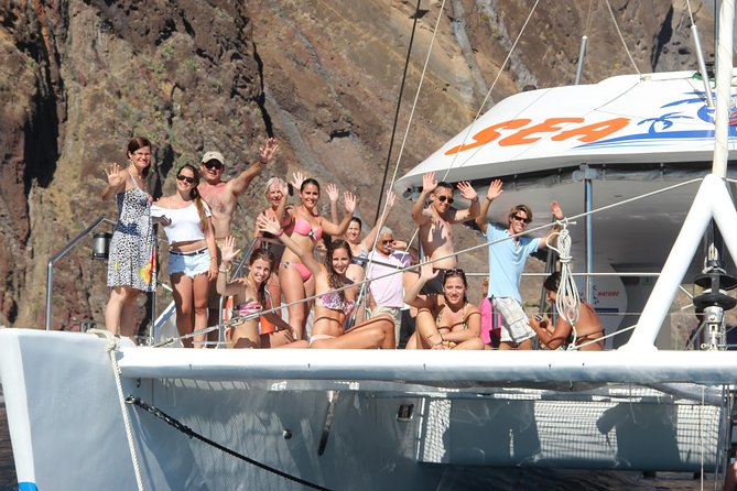 Dolphin and Whale Watching Catamaran Cruise from Funchal - How the dolphin and whale spotting works off Madeira’s south coast