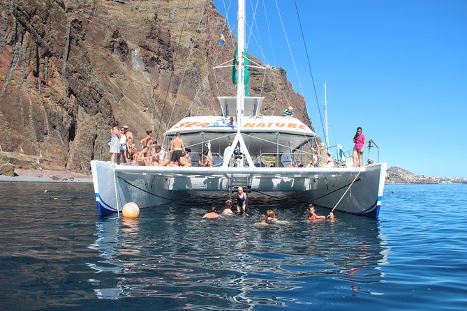 Dolphin and Whale Watching Catamaran Cruise from Funchal - Value for money: $48.27, what you actually get, and why the repeat trip matters