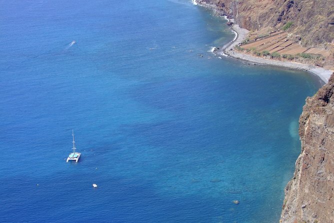 Dolphin and Whale Watching Catamaran Cruise from Funchal - Who should book this (and who might not love it)