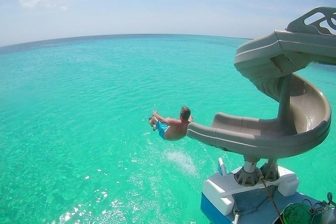 Dolphin Catamaran Snorkel and Sail with Open Bar - Key Points You’ll Care About