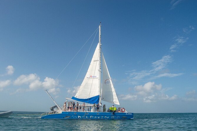Dolphin Catamaran Snorkel and Sail with Open Bar - From Hyatt Regency to Delphi Watersports: Where This Starts