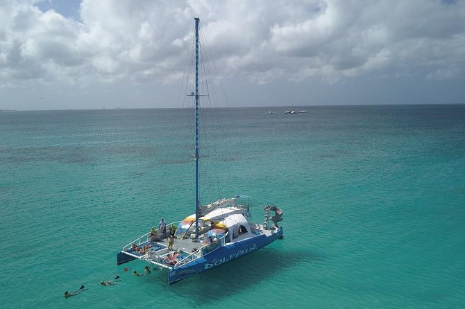 Dolphin Catamaran Snorkel and Sail with Open Bar - Snorkel Gear, Disinfection, and Your First Comfortable Swim