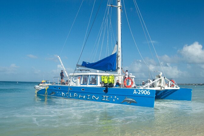 Dolphin Catamaran Snorkel and Sail with Open Bar - Crew Energy: Friendly Staff and How They Run the Day