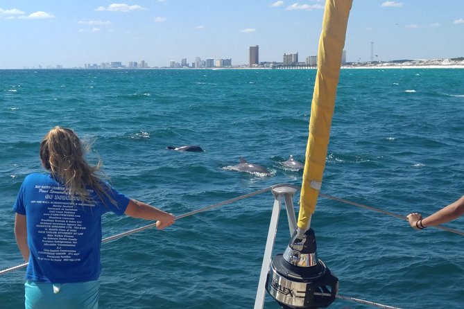 Dolphin Sightseeing on the Privateer Catamaran - Quick Hits Before You Go